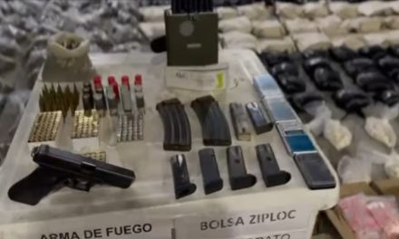 CONTUNDENTE OFENSIVA CONTRA EL NARCOTRÁFICO EN EL TOLIMA