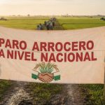 PRODUCTORES Y AGRICULTORES ARROCEROS ANUNCIAN PARO NACIONAL POR INCUMPLIMIENTOS DEL GOBIERNO NACIONAL