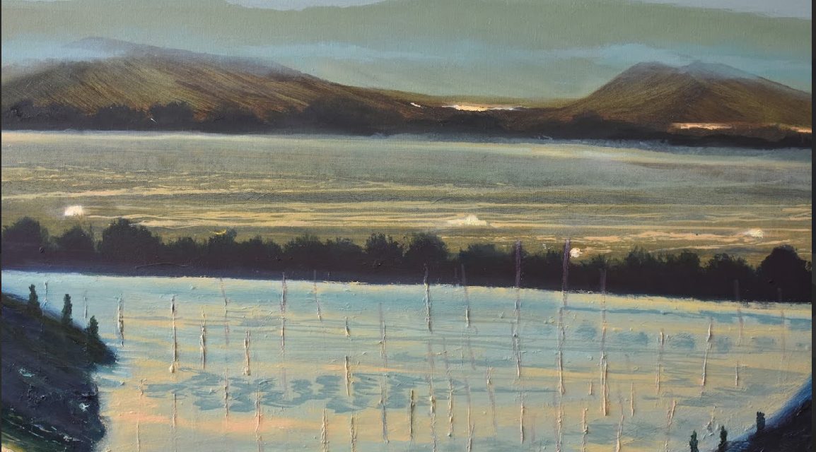 El Museo de Arte del Tolima Homenajea a Armero con Dos Exposiciones.