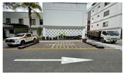 2.7 Toneladas de marihuana se han incautado en el Tolima en menos de cuatro días, debilitando finanzas criminales en la región