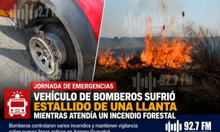 Armero Guayabal enfrenta intensa jornada por incendios forestales: más de 100 hectáreas afectadas y bomberos evitan emergencias mayores