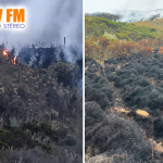 Incendio forestal destruye valiosos frailejones en el páramo de Santa Isabel