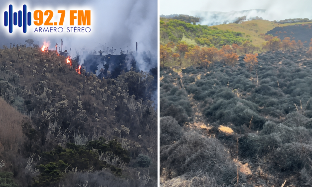 Incendio forestal destruye valiosos frailejones en el páramo de Santa Isabel