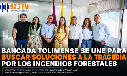 BANCADA TOLIMENSE SE UNE PARA BUSCAR SOLUCIONES A LA TRAGEDIA POR LOS INCENDIOS FORESTALES